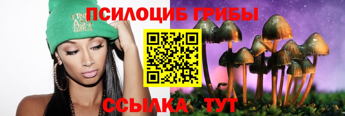 Галлюциногенные грибы MAGIC MUSHROOMS  Вход с VPN  что такое наркотик  Балтийск 